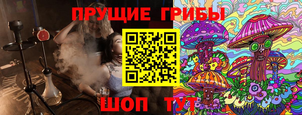Мурманск  Псилоцибиновые грибы GOLDEN TEACHER  Вход с VPN 